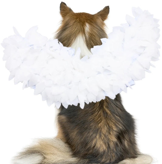 Dog costume M – Realistic wings, festive accessory - Image 4