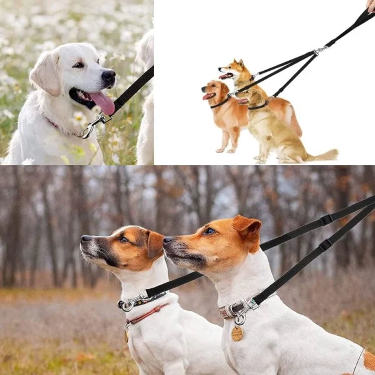3-in-1 Dog Leash – Adjustable, detachable, for medium-sized dogs - Image 4