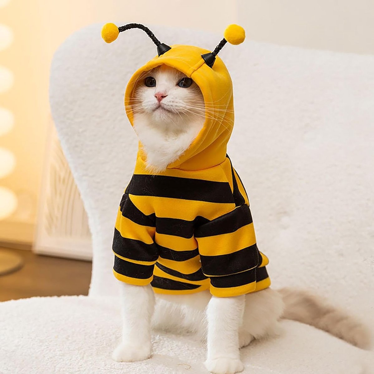 Bee Cat Costume - Small Hooded Set for Dog and Cat - Halloween Pet Costume - Image 2