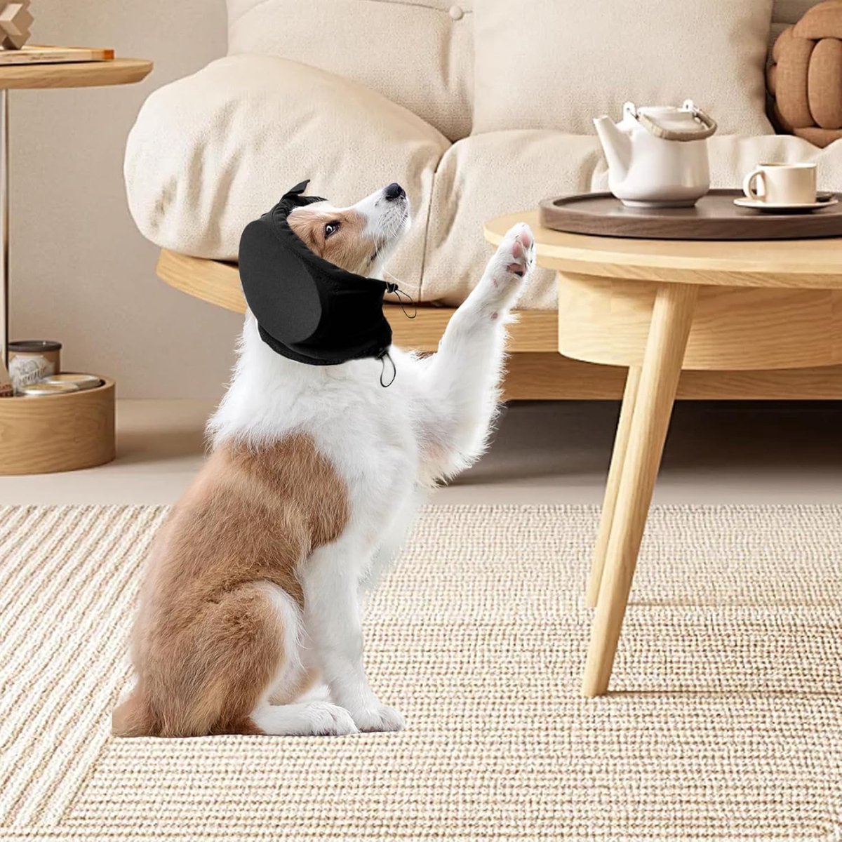 S - Noise-Reducing Ear Protectors for Dogs - Dog Ear Protector - Ear Protector for Dogs - Dog Ear Protector - Hearing Protection for Pets - Pet Cone - Noise-Dampening Dog Headband - Noise-Reducing Dog Ear Warmer - Blue - Image 3