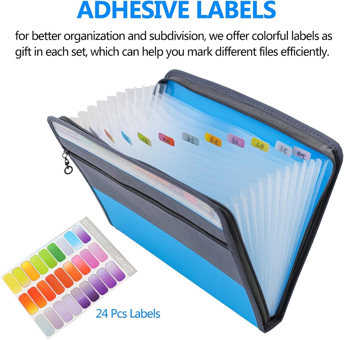 Project Folder - A4 - Foldable File Folder with Tabs - 13 Compartments - Storage Folder/Sorting Folder - Compartment Folder - Durable Plastic Document Folder - Writing Folder with Zipper - Conference Folder - Work Folder - Document Folder - Blue - Portabl - Image 4