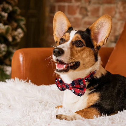 Christmas Dog Bow Tie - Festive Dog Bow Tie - Collar with Bow - Dog Collar - Red - Checkered Bowtie - Adjustable Neckline - Dog Accessories - Dog Clothing - Dogwear - Christmas - Gift - Size M - Image 5
