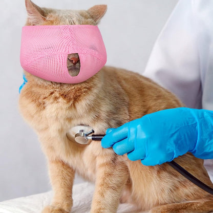 6 Pieces - Breathable Cat Muzzle Size L - Cat Muzzles - Muzzles for Cats and Kittens - Neck Circumference: 18-26 Cm - For Travel, Vet Visits and Bathrooms - Nylon - Eye Mask for Pet Grooming - Cat Muzzle - Breathable - Comfortable - Image 4