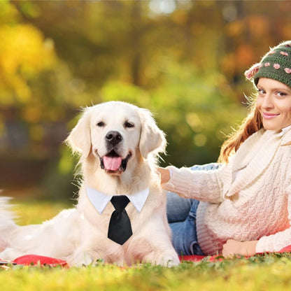 - Animal Costume Set - Luxury Tie and Bow Tie for Animals - Suitable for Dachshunds to Border Collies - Adjustable - Tie for Dog - Cat Clothing - Bow Tie for Dog - Dog Bow Tie - Dog Toy - Christmas Dog Bow Tie - Christmas Rug - Gift - Image 5