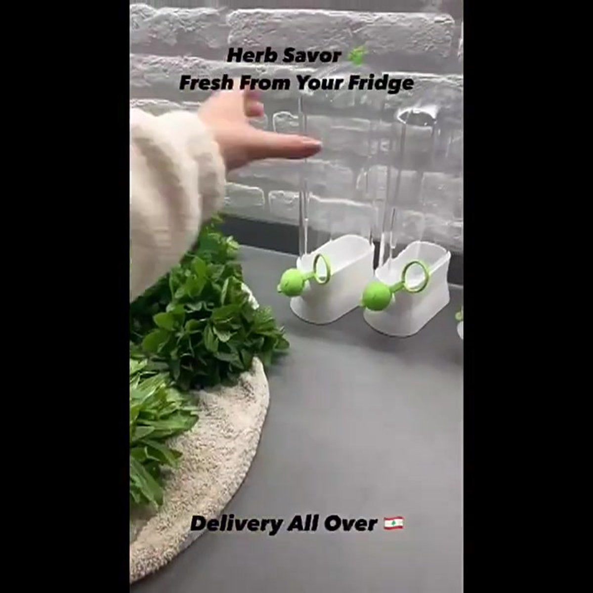 Herb Container - Herbs - Herb Jars - Fresh Keeper - Herb Vanilla Storage Container - BPA-Free - Keep Fresh - Coriander, Asparagus, Parsley and Mint - Free Herb Cutter - 27 Cm - Kitchen Tools - Reusable Fresh Herb Container - Image 2