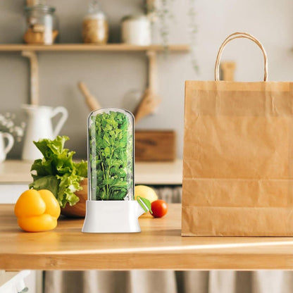 Herb Container - Herbs - Herb Jars - Fresh Keeper - Herb Vanilla Storage Container - BPA-Free - Keep Fresh - Coriander, Asparagus, Parsley and Mint - Free Herb Cutter - 27 Cm - Kitchen Tools - Reusable Fresh Herb Container - Image 3