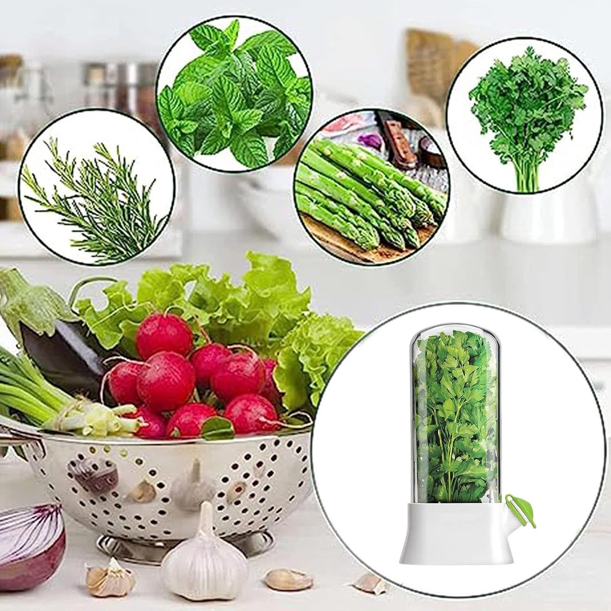 Herb Container - Herbs - Herb Jars - Fresh Keeper - Herb Vanilla Storage Container - BPA-Free - Keep Fresh - Coriander, Asparagus, Parsley and Mint - Free Herb Cutter - 27 Cm - Kitchen Tools - Reusable Fresh Herb Container - Image 4