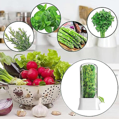 Herb Container - Herbs - Herb Jars - Fresh Keeper - Herb Vanilla Storage Container - BPA-Free - Keep Fresh - Coriander, Asparagus, Parsley and Mint - Free Herb Cutter - 27 Cm - Kitchen Tools - Reusable Fresh Herb Container - Image 4