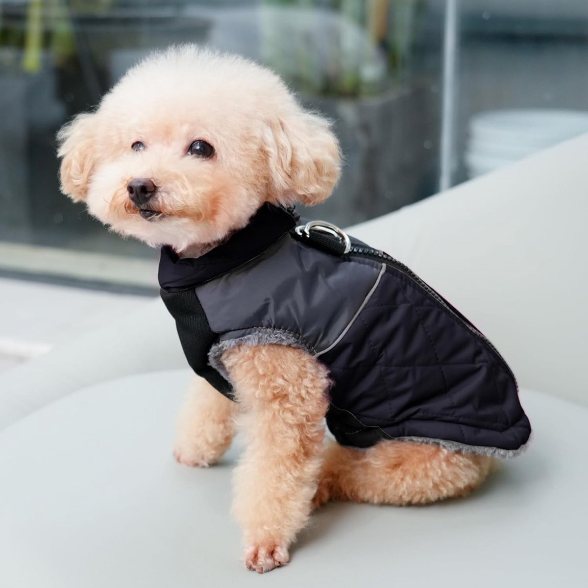 Dog Coat - Dog Raincoat - Dog Sweater - Warm Dog Windproof Coat - Waterproof Dog Winter Coat - Lined Dog Coat with Zipper - Size XS - Extra Warm - Coat - Pet Clothing - Black - Suitable for Dogs Indoors and Outdoors Camping Walking - Image 4
