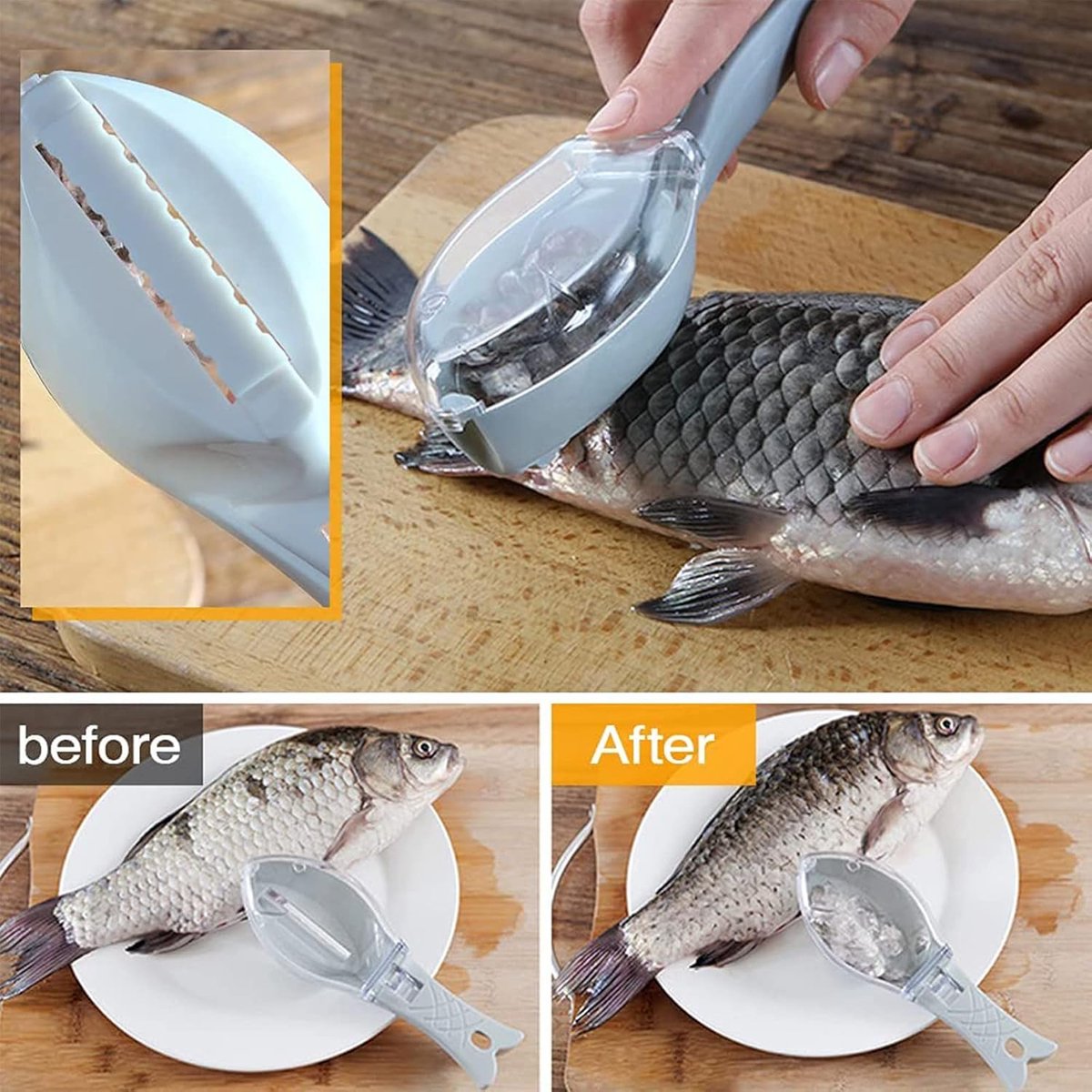 Fish Scraper - Professional Scale Remover - Fast and Efficient - Portable Scale Removal - Universal Fish Descaler - Fish Descaler - Fish Scraper - with Handy Collection Tray - for Kitchen / Restaurant - Green - Piece - Image 5