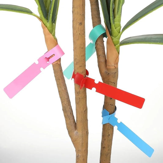 120 Plant Labels - Plastic Tree Labels - 21 x 2 cm - Plant Labels - Garden - Hanging Plant Labels - Five Colors - Suitable for Flower Gardens - Vegetable Gardens - Herb Gardens - Image 2