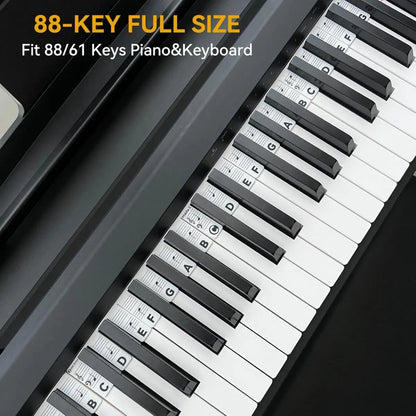 Removable Silicone Piano Stickers - 88 Keys - Key Guide - Keyboard Stickers - Reusable - Learn Music Notes Easily - Learn to Play Strip - Includes Storage Box - For Beginners - Image 5