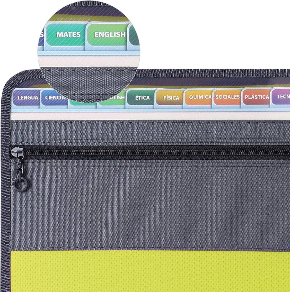 Project Folder - A4 - Foldable File Folder with Tabs - 13 Compartments - Storage Folder/Sorting Folder - Compartment Folder - Durable Plastic Document Folder - Writing Folder with Zipper - Conference Folder - Work Folder - Document Folder - Green - Portab - Image 5