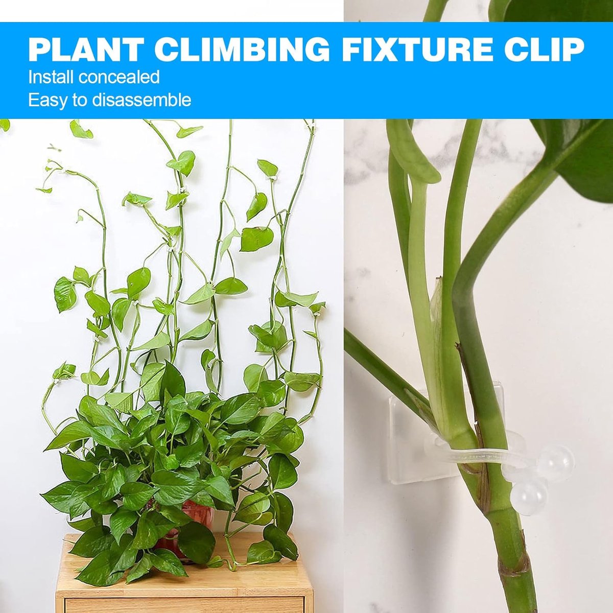 Plant Clips - Plant Clips - Climbing Plant Guide - Tie Up - Plant Support - Garden Clips - Cable Organizer - Wall-Mounted Plant Clips - For Indoor Use - Wall Mounting - Multi-purpose - Reusable - Self-Adhesive - Green/White - Image 2