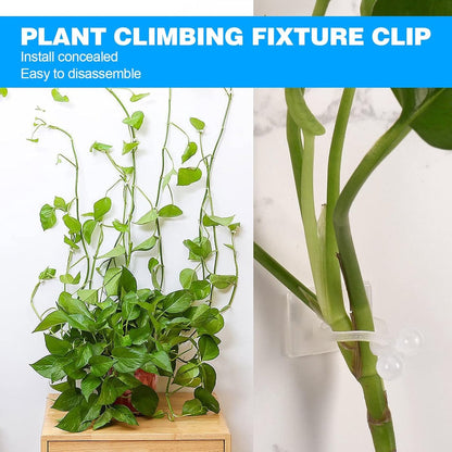 Plant Clips - Plant Clips - Climbing Plant Guide - Tie Up - Plant Support - Garden Clips - Cable Organizer - Wall-Mounted Plant Clips - For Indoor Use - Wall Mounting - Multi-purpose - Reusable - Self-Adhesive - Green/White - Image 2