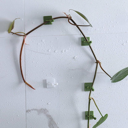 Plant Clips - Plant Clips - Climbing Plant Guide - Tie Up - Plant Support - Garden Clips - Cable Organizer - Wall-Mounted Plant Clips - For Indoor Use - Wall Mounting - Multi-purpose - Reusable - Self-Adhesive - Green/White - Image 4