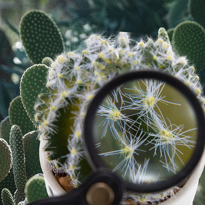 Magnifying Glass - 3 Pieces - 10x Magnification - Pocket Handheld Magnifying Glass - Reading Magnifier - Reading Magnifier - Mini Magnifying Glass - Reading Magnifier - Pocket Magnifying Glass - Reading Magnifier for Seniors and the Visually Impaired - Ma - Image 3