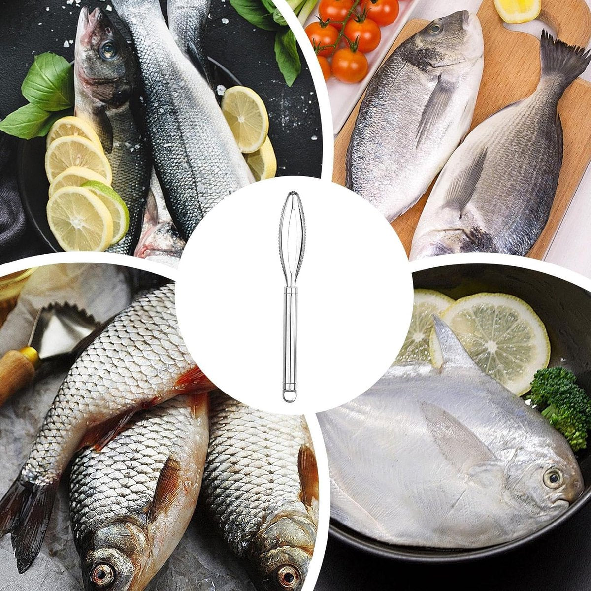 Fish Scraper - 2 Pieces - Fish Scaler Brush - Fish Scale Remover - Scale Scraper - Fish Descaler - Fish Scale Remover - Scraping Removal Tool - Kitchen Utensils - For Cookware, Seafood, Poultry - Silver - Stainless Steel - Image 2