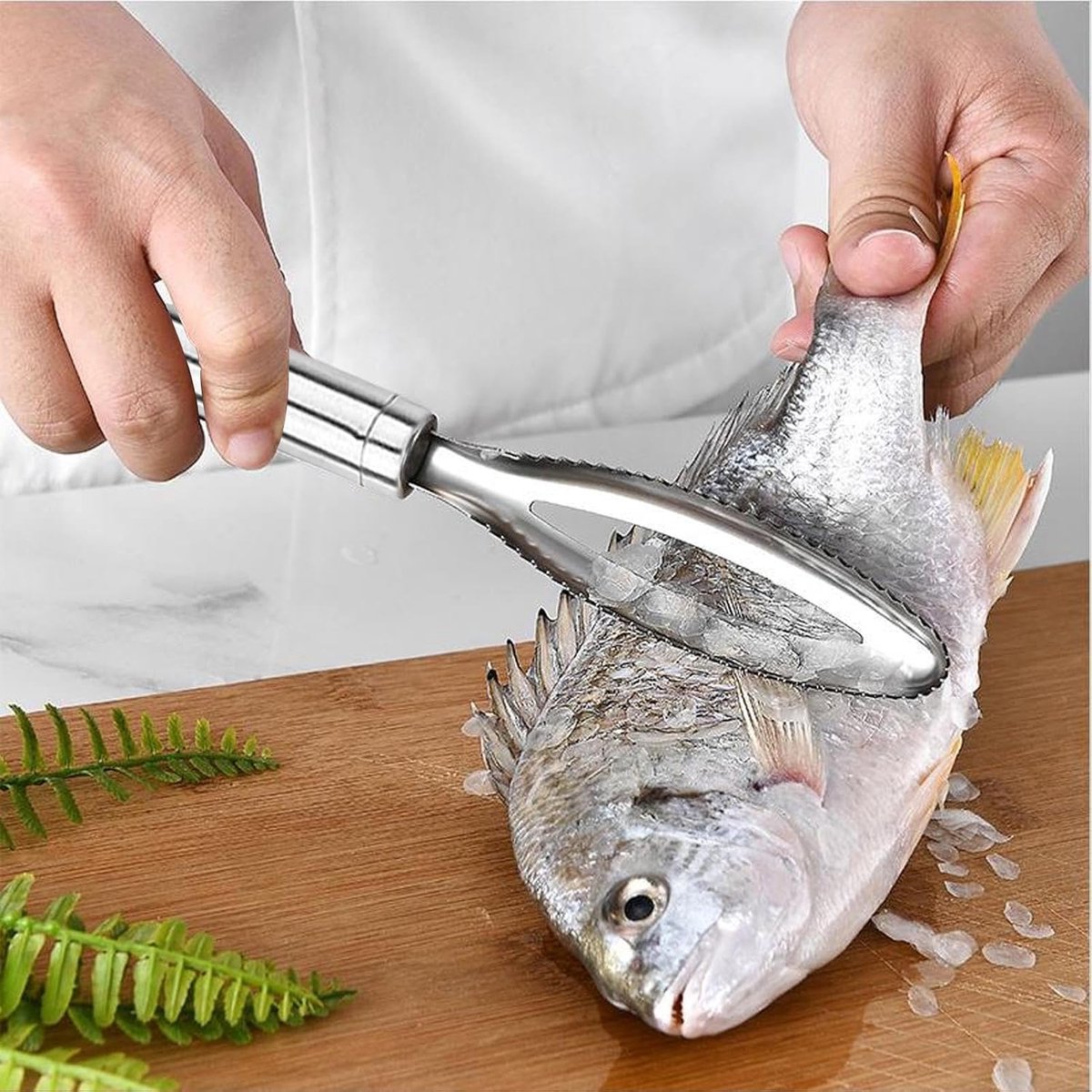 Fish Scraper - 2 Pieces - Fish Scaler Brush - Fish Scale Remover - Scale Scraper - Fish Descaler - Fish Scale Remover - Scraping Removal Tool - Kitchen Utensils - For Cookware, Seafood, Poultry - Silver - Stainless Steel - Image 4
