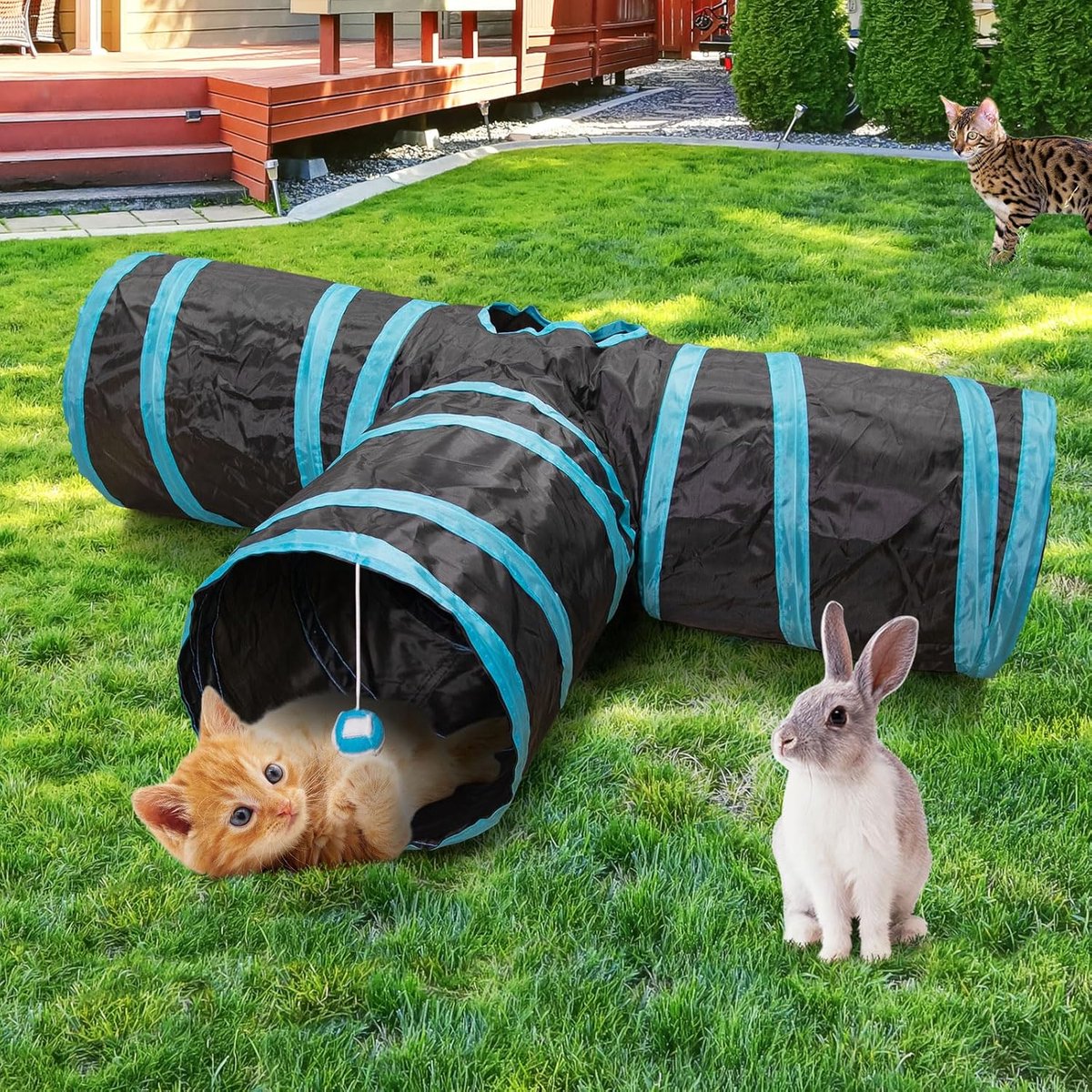 Cat Tunnel - 3 Passages - Play Tunnel for Animals - Cat Tunnel with Play Ball - Cat Tunnel - Cat House - Cat Play Tunnel - Rabbit Tunnel - Crawl Tunnel - Cat Toys - Blue - Image 2