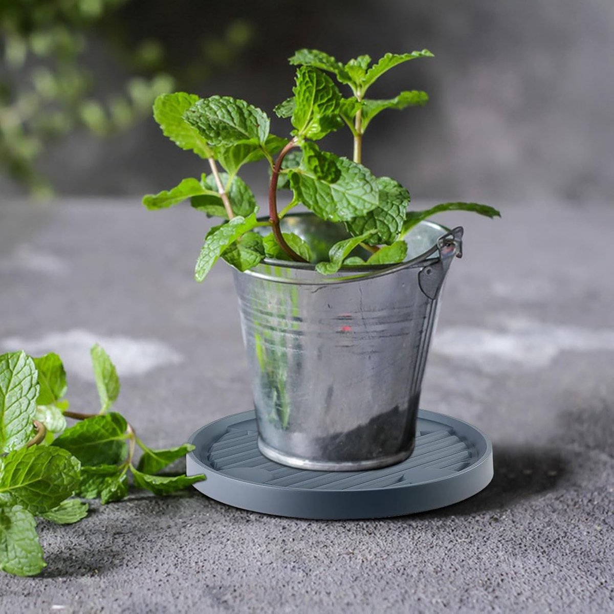 Round Flowerpot Mover - 19.3 Cm - Rolling Plant Pallet - Round Dark Grey Saucer With 4 Wheels - Plant Stand Planter Caddies - For Moving Potted Planters - For Garden, Patio, Courtyard, Terrace - Load Capacity 40 Kg - 1 Piece - Image 3
