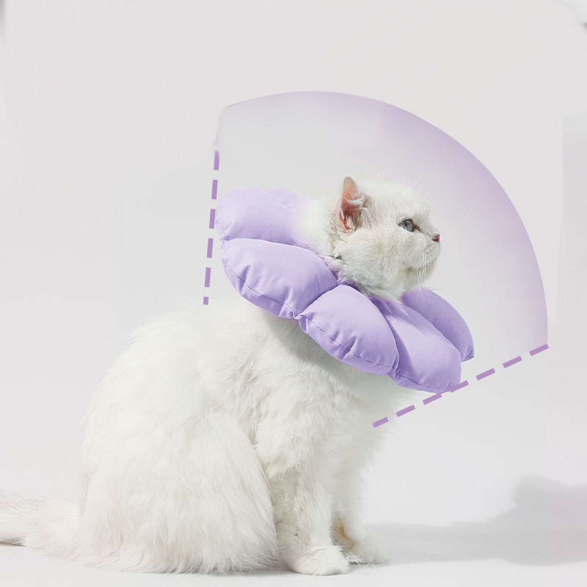 Protective Collar - Cat Collar - Collar - Cat Recovery Collar - Cat Collar - Cat Collar - Protective Collar Cat - Cat Collar Surgery - Comfortable - Creative - Prevent Escape - High Quality - for Wound Protection / Recovery after Surgery - Image 3