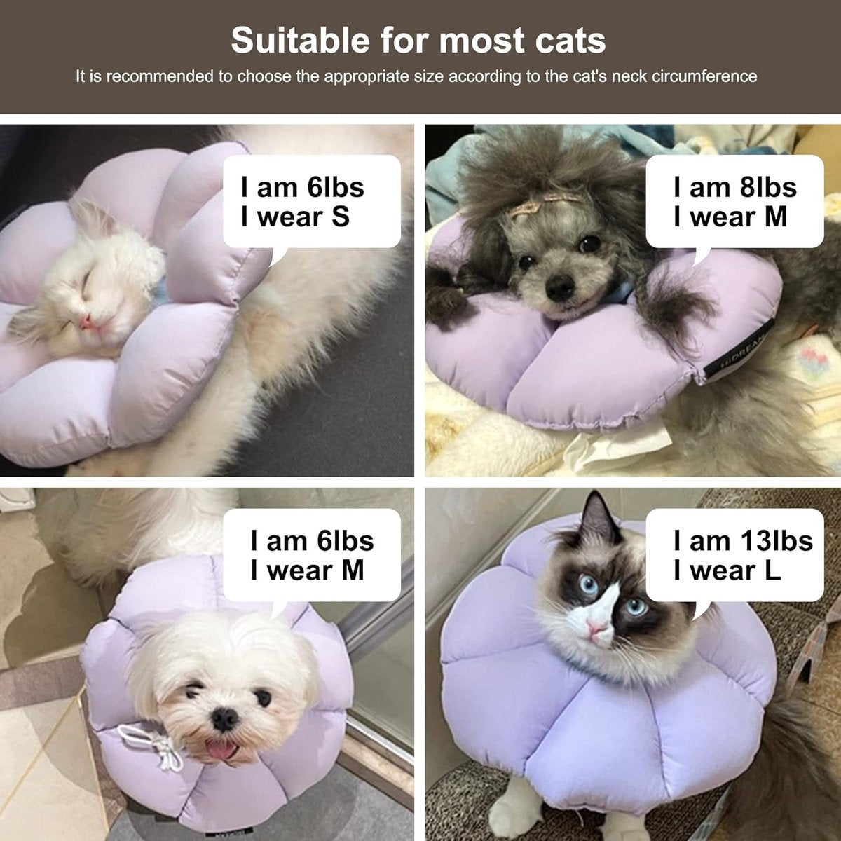 Protective Collar - Cat Collar - Collar - Cat Recovery Collar - Cat Collar - Cat Collar - Protective Collar Cat - Cat Collar Surgery - Comfortable - Creative - Prevent Escape - High Quality - for Wound Protection / Recovery after Surgery - Image 5