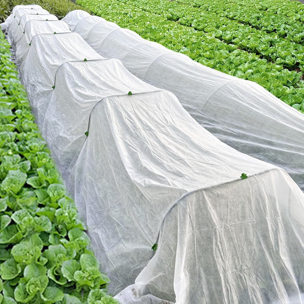 Frost Protection Plant Cover - Winter Cover Winter Protection - Plant Cover - Winter Cover - Durable - Frost Protection - Plant Cover - For the Garden, Raised Bed, Plants, Frost Blanket, Outdoor Flowers and Vegetables - 1.5 X 5 M - White - 1 Piece - Image 2