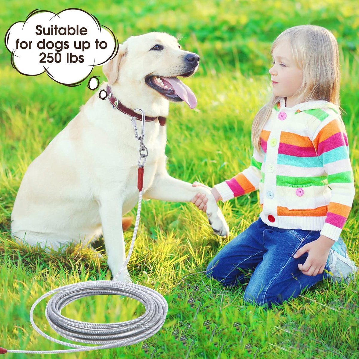 Dog leash - 10 m - cat leash - Active and Large Dogs - Bite-resistant - Retractable leash - Steel cable - Pet leash - Very Hard - bold - Sturdy - Thick - Practical - Unbreakable - Lots of playtime fun - Prevents getting lost - Free play on the lawn - Image 5
