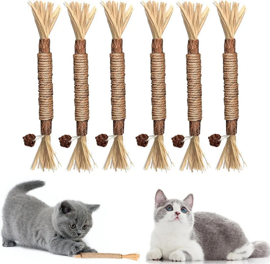 Sticks for Cats - 6 Pieces - Catnip Chew Sticks - Natural Cat Toys - Cat Chew Sticks - Catnip Sticks - Stronger Effect Than Catnip - Catnip - Catnip - Cat Toys - Freshen Your Mouth - Dental Care for Cats