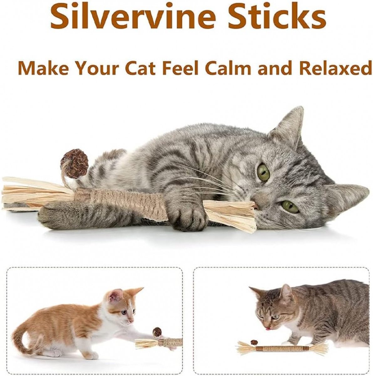 Sticks for Cats - 6 Pieces - Catnip Chew Sticks - Natural Cat Toys - Cat Chew Sticks - Catnip Sticks - Stronger Effect Than Catnip - Catnip - Catnip - Cat Toys - Freshen Your Mouth - Dental Care for Cats - Image 5