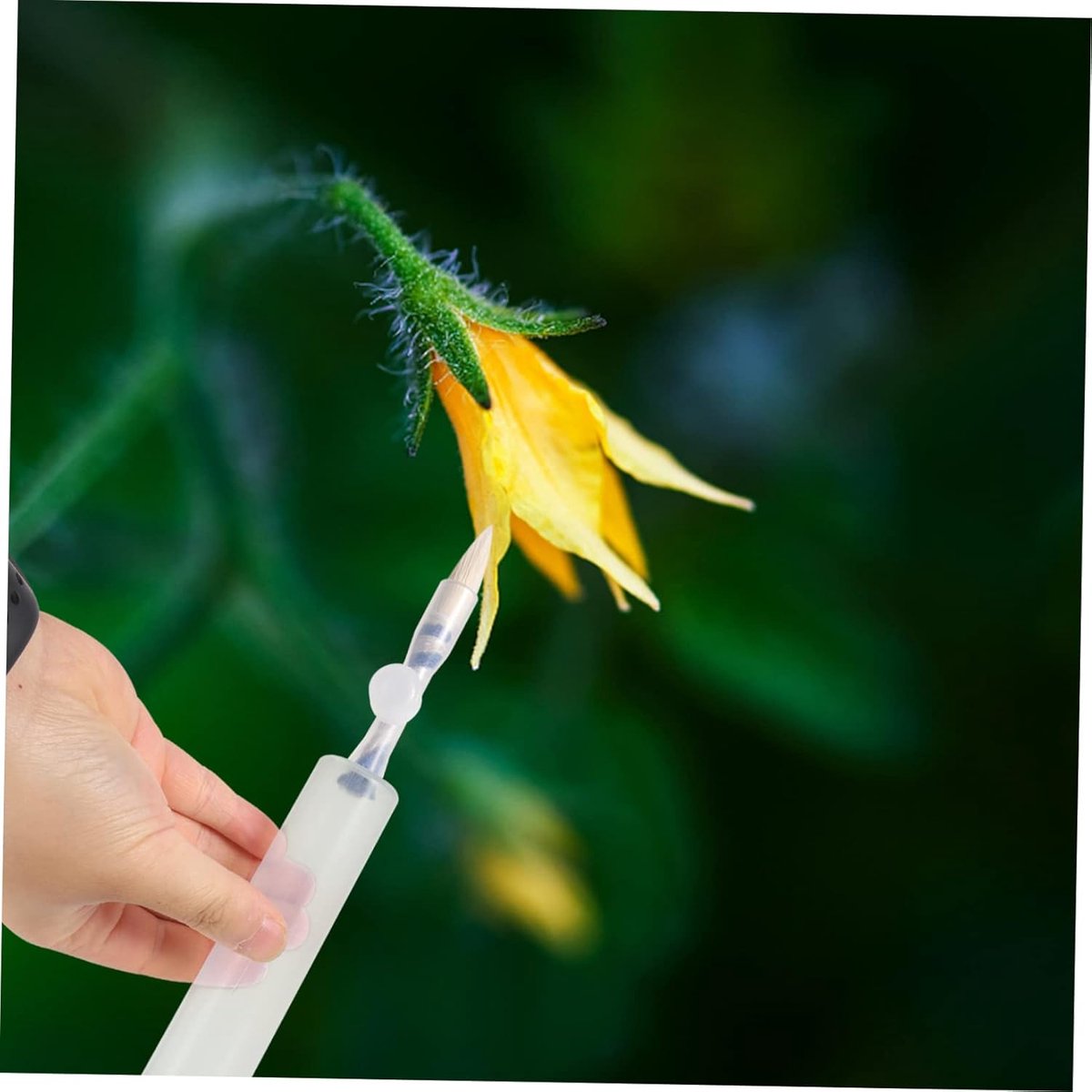 Pollination Pen - Professional Plant Pollinator Tool - Practical & Efficient - For Flower Pollination - Manual Pollinator Range - Garden - Garden Tools - For Various Plants - Image 5