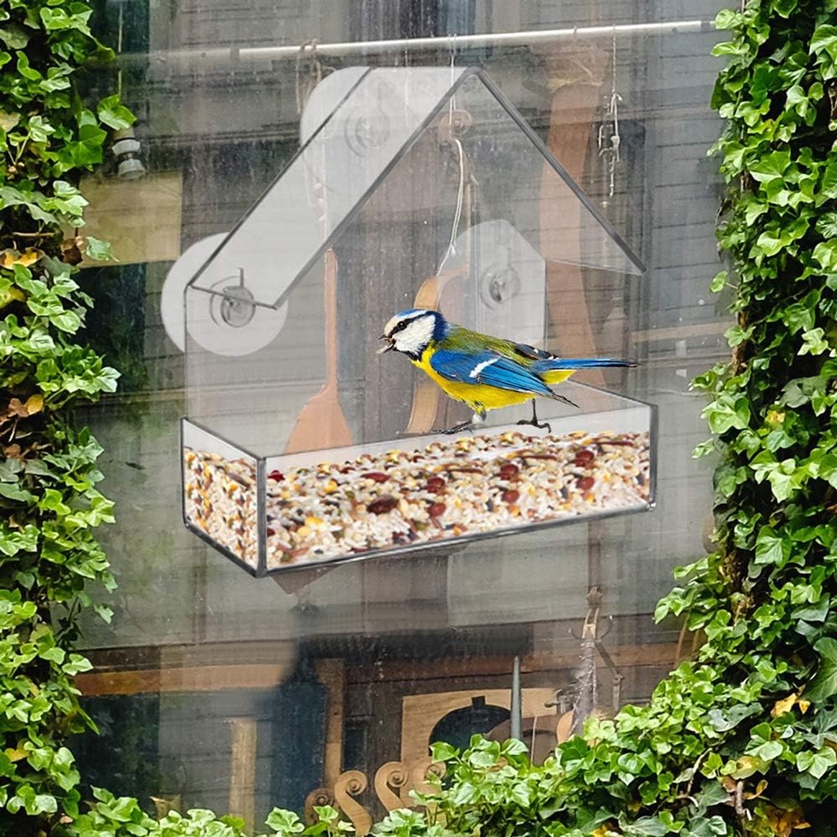 Window Bird Feeder - 2 Pieces Hanging Birdhouse - bird feeder - Transparent with Suction Cup - Transparent Window Feeder - Transparent - outdoor birdhouse - Image 2