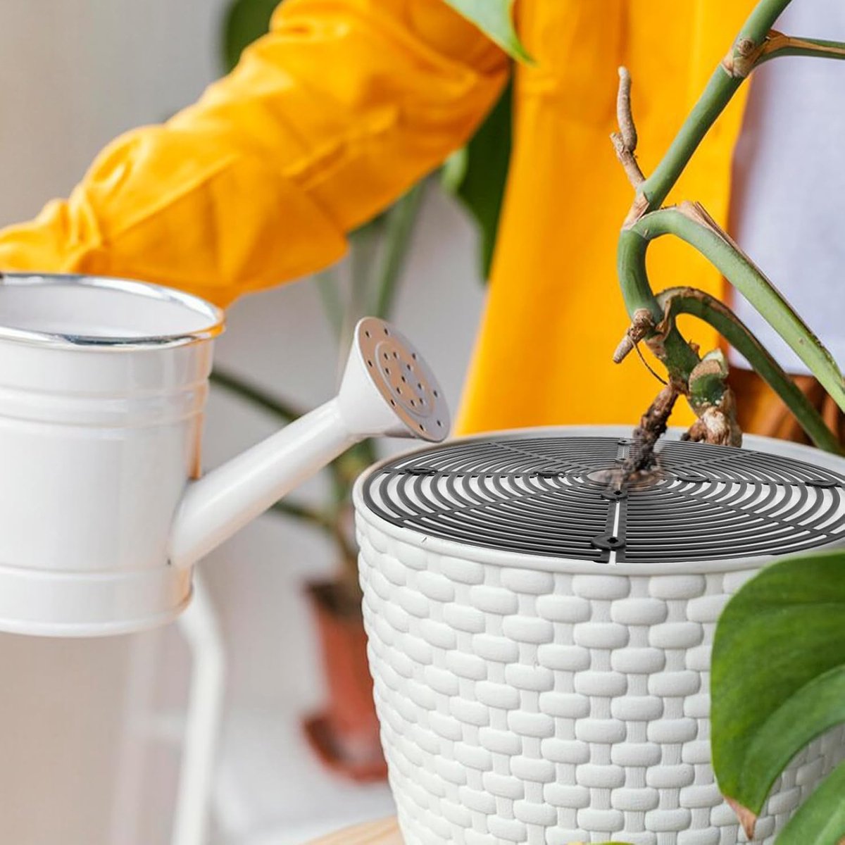 2 pieces - plant pot cover - 30 cm - Flowerpot grid - planter cover set - plantpot grid bottom protectors - with 16 posts - plant covers - for indoor and outdoor gardening - plant protectors - keeps cats and squirrels out of the flowerpot - black - Image 2