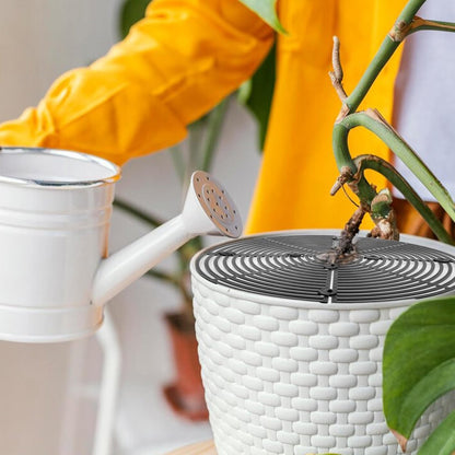 2 pieces - plant pot cover - 30 cm - Flowerpot grid - planter cover set - plantpot grid bottom protectors - with 16 posts - plant covers - for indoor and outdoor gardening - plant protectors - keeps cats and squirrels out of the flowerpot - black - Image 2