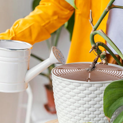 2 pieces - plant pot cover - 30 cm - Flowerpot grid - planter cover set - plantpot grid bottom protectors - with 16 posts - plant covers - for indoor and outdoor gardening - plant protectors - keeps cats and squirrels out of the flowerpot - brown - Image 2