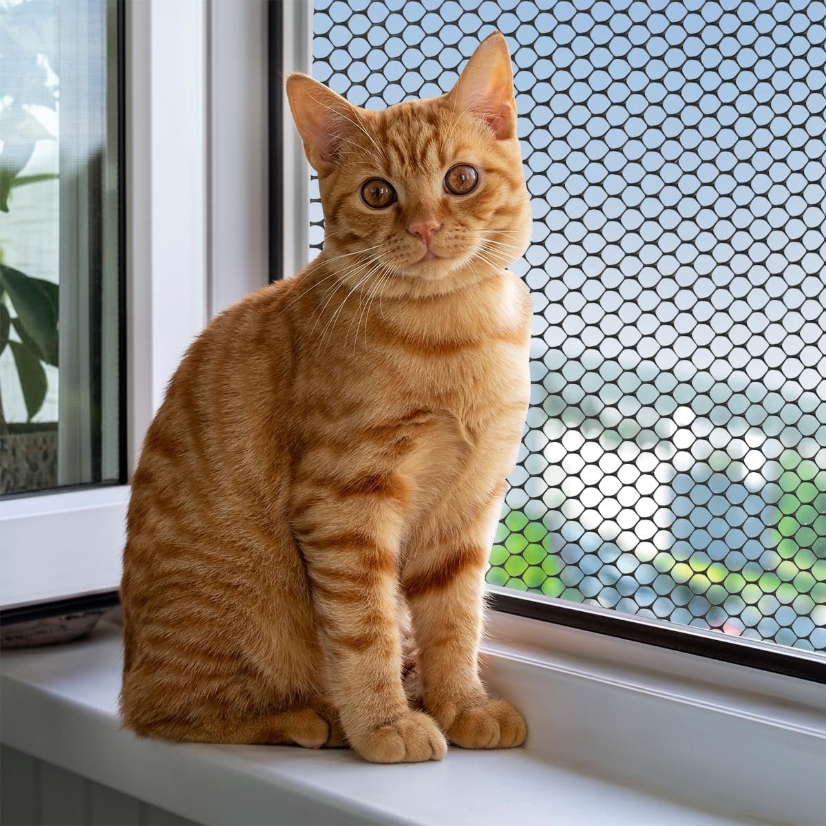 Plastic Fencing Net - 40 cm * 3 m - Chicken Wire - Cat Net - Dog Fencing - Bird Net - Pet Trap Net - Garden Mesh - Plastic Mesh - Plant Net - with 20 fixed straps - for dogs, cats, chickens and other small animals - Black - Image 3