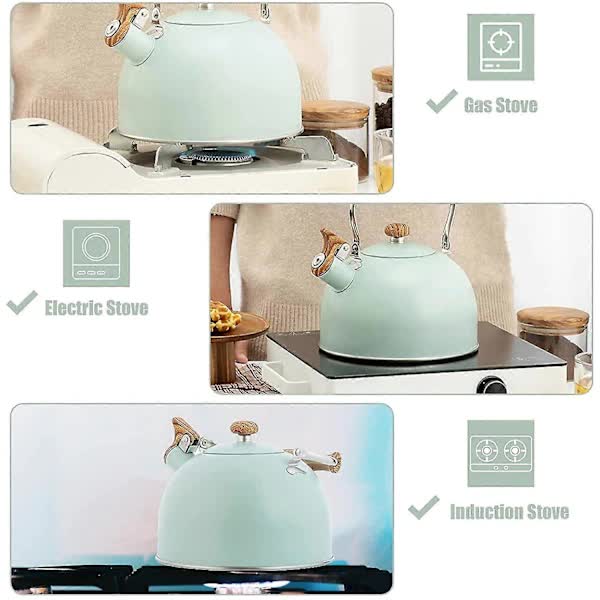 Stainless Steel Whistling Kettle 2.5L for Gas Stoves, Induction Compatible, Ergonomic Handle - Image 2