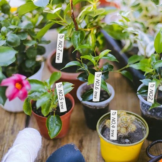 200 Pieces - Plant Labels - 2x10 CM - Plant Labels - Vegetable Labels - Vegetable Labels - White - Plant Stake Tags - Nursery Stake Tags for Potted Plants - Plastic - Image 2