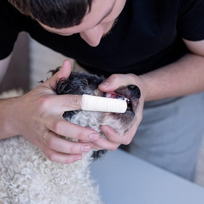 Dog Toothbrush - 10 Pieces - Reusable Finger Toothbrush - Animal Toothbrush - Dog Care - Dogs - Image 5