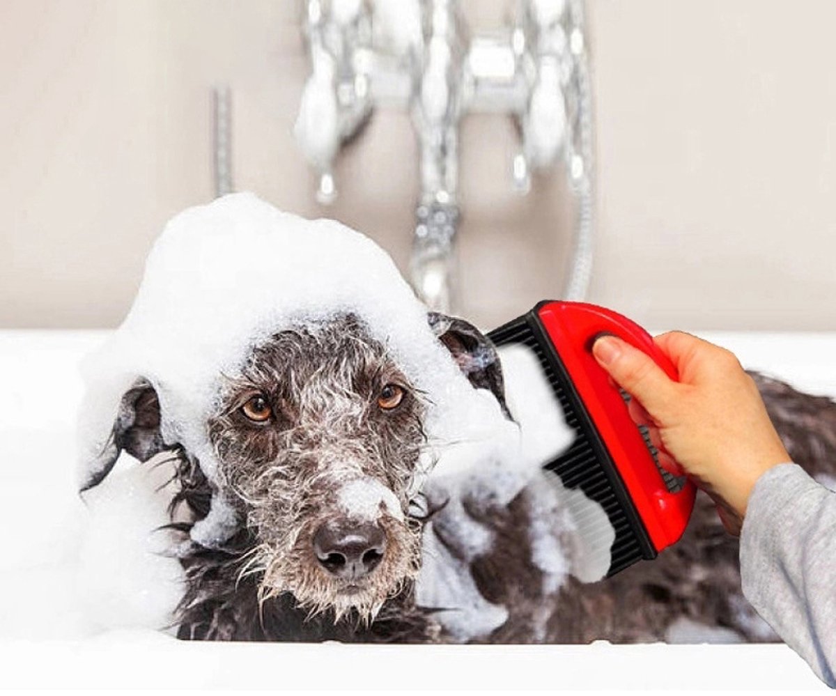 Pet Hair Remover for Fabric - Remove Dog and Cat Hair from Clothing, Furniture, Cushions and Car Interiors - Rubber Hair Remover - Soft Deshedding Brush - Red - For Pets and Furniture - Image 5