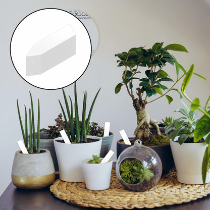 200 Plant Labels - 5x1 CM - Plant Labels - Plant Sticks - Plant Labeling - Herb Labeling - Stick Labels Vegetable Garden Signs - Slotted Labels Plant Label - Plant Signs - Plastic - White - For Garden Potted Herbs Flowers Vegetables - Image 3