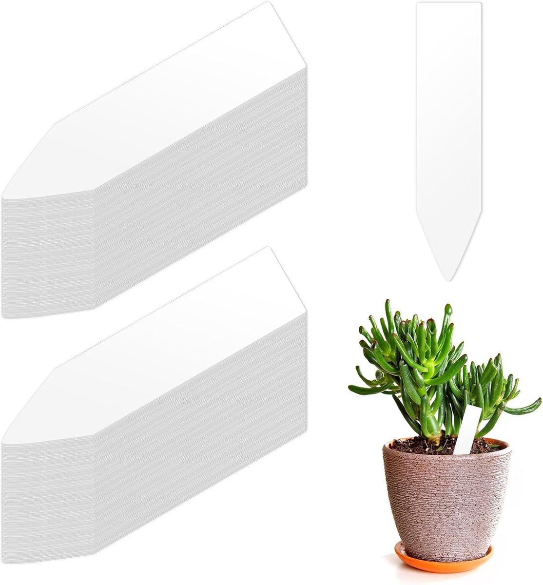 200 Plant Labels - 5x1 CM - Plant Labels - Plant Sticks - Plant Labeling - Herb Labeling - Stick Labels Vegetable Garden Signs - Slotted Labels Plant Label - Plant Signs - Plastic - White - For Garden Potted Herbs Flowers Vegetables - Image 5