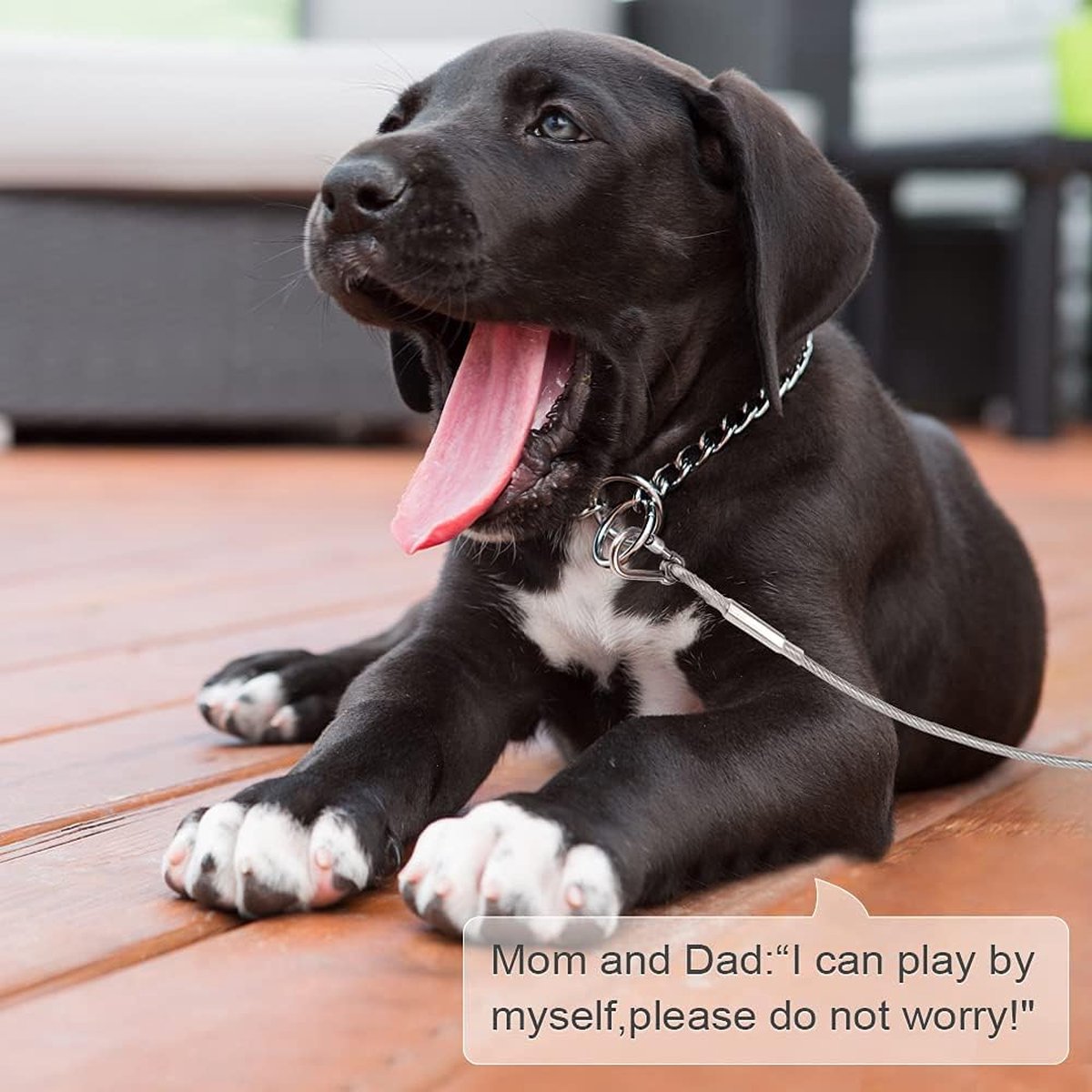 Dog leash cable - 5mm * 3m - stainless steel - silver - dog chains - with double fastening stainless steel buckle - camping accessories - dog game ground stake - heavy-duty dog chain - exhaust leash for animals - Image 3