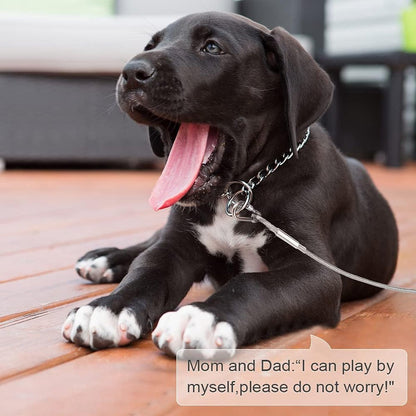 Dog leash cable - 5mm * 3m - stainless steel - silver - dog chains - with double fastening stainless steel buckle - camping accessories - dog game ground stake - heavy-duty dog chain - exhaust leash for animals - Image 3