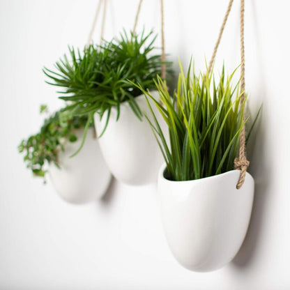 3-Pack White Ceramic Wall Pots - Image 2