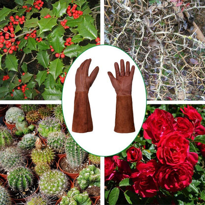 Thorn-proof gardening gloves for women, long gardening gloves, rose pruning gloves for women - Image 5