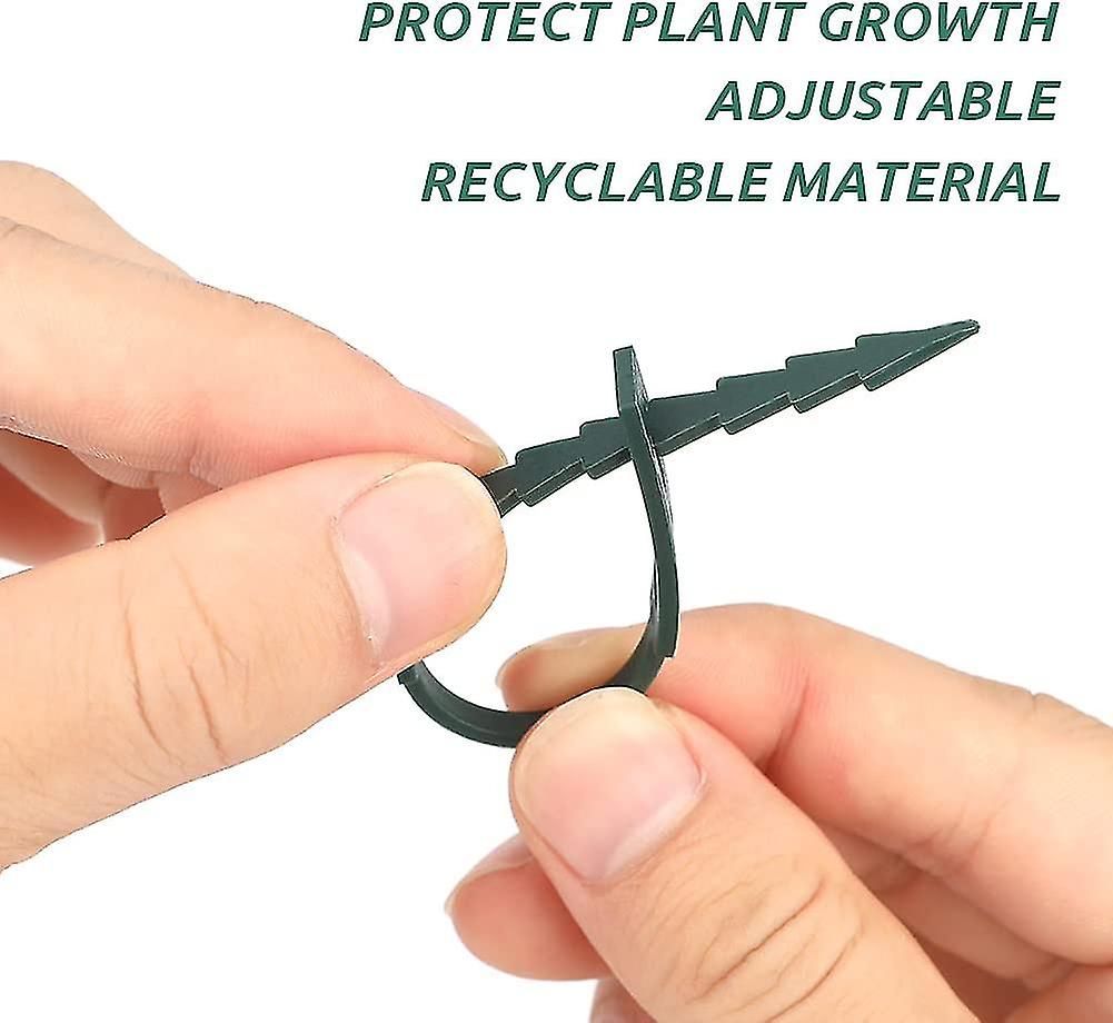 Adjustable Plant Ties 200 Pcs, 13.5 cm Flexible Plastic Garden Wire Ties for Plant Support - Image 3