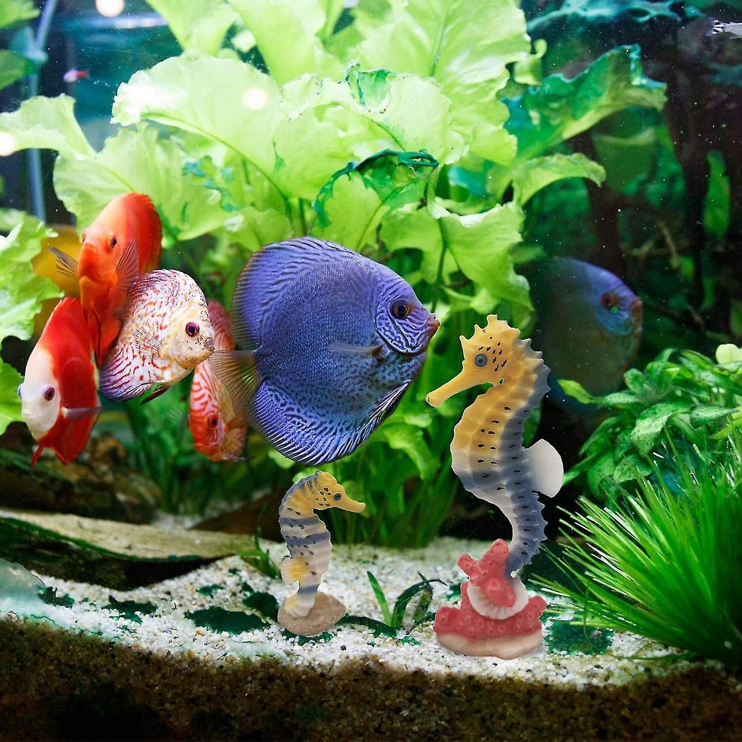 Seahorse Statue Ornament Compatible with Aquarium Decor Resin 2 Pieces - Image 5