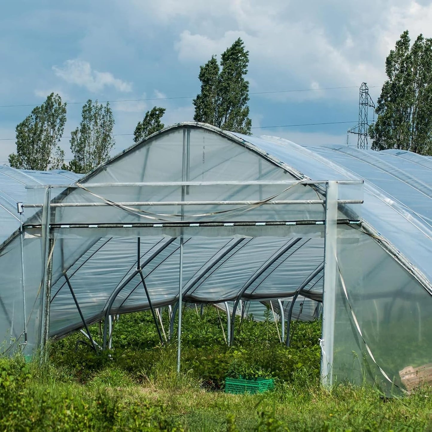 (Special Offer) 2x6m Polyethylene Greenhouse Film, Transparent, Extra Thick Garden Film for Foil Tunnels 10 m - Image 5